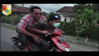 FILM KOMEDI KEPUGANG / TERPERANJAT