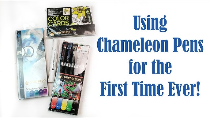 Chameleon Markers Pens Adult Coloring Books, Bible Journaling