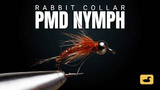 This PMD Nymph Is Fast to Tie and Deadly on Trout | Rabbit Collar PMD
