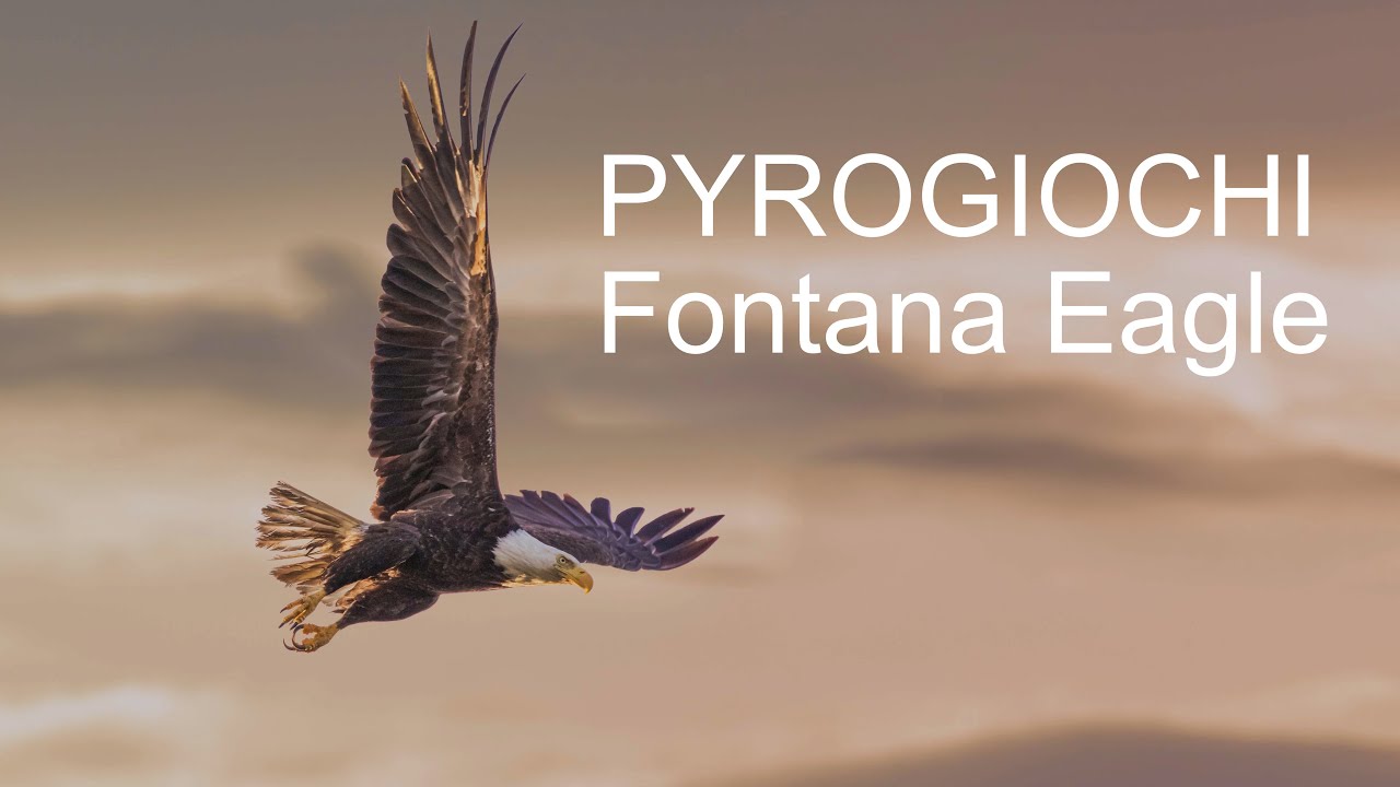 Pyrogiochi Fontana Eagle (4K) - YouTube