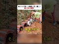 鶏たちが早くも新居に引っ越し! 卵の悩み解消! #DIY鶏小屋 #卵の問題解決 #レンガ工作 #農業アイデア #暮らしの工夫