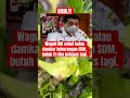 Kabar Wagub 2025 Shorts Kabar Wagub 2025 Shorts