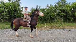 МЕН БУЛ АТТЫ УЛАКТА КОРГУМ БАР