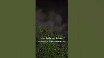 سورة المؤمنون  الآية  ١١٥