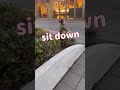 最後喜び方おじさんか思った。#子供#sitdown#子供英語