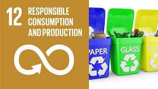 UN Sustainable Development Goals | Responsible Consumption and Production (12)