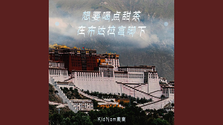 想要喝點甜茶，在布達拉宮腳下 - 天天要聞