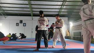 Basic kicks of hapkido step by step tutorial for beginners
