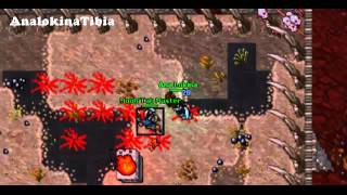 Tibia - Mooh'Tah Master