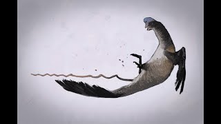 Cloaca Music