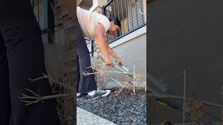 Por fin llegó la primavera!! Hagamos la Limpieza de primavera del patio delantero.
