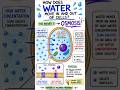 Osmosis: The Movement of Water