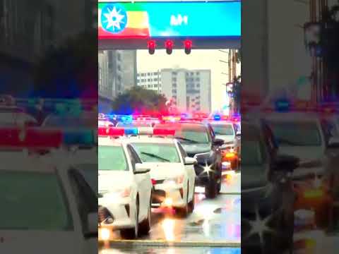 Deggarsa Hidha Abbaaya Guddicha