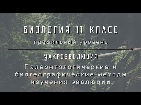 Биология 11 кл Теремов §14 Палеонтологические и биогеографические методы изучения эволюции
