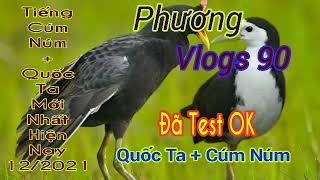 Tiếng Cúm Núm Quốc Ta Mới Nhất 2021 File Đang Ăn Chim Mạnh Nhất Hiện Nay Phương Vlogs 90