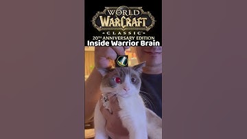 Ever Wondered What Is Inside The Warriors Mind?! #wowclassic #gaming #lythp