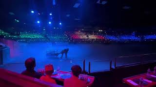 Medieval times full show knights tournament