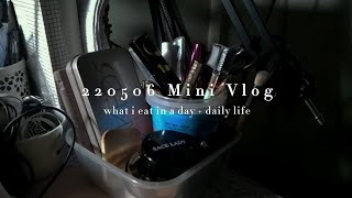 220506 Mini Vlog What I Eat In A Day Daily Life