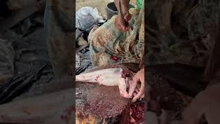 Amazing Fish Cutting Skills | Quick Fish Cutting