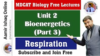 MDCAT Biology Free Lectures | Unit 2 - Bioenergetics (Part 3) | Respiration