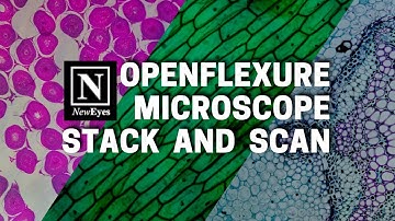 OpenFlexure Microscope Stack and Scan