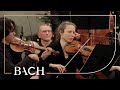 Bach - Agnus Dei from Mass in B minor BWV 232 | Netherlands Bach Society