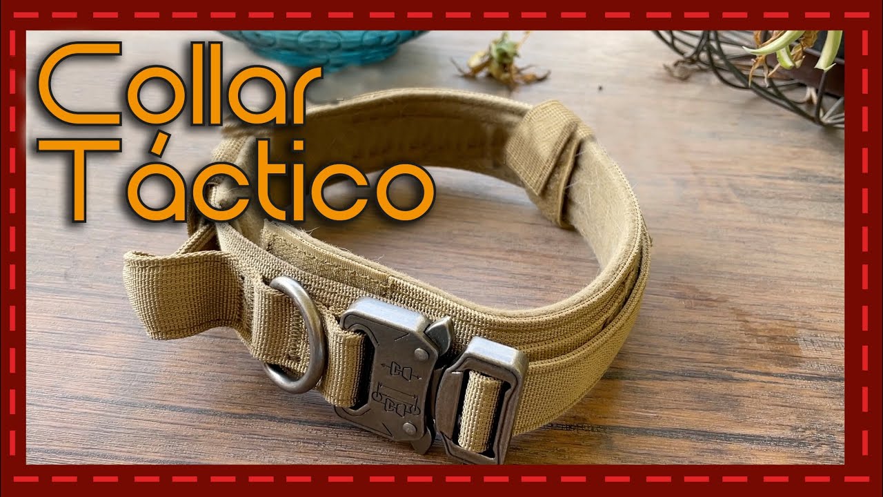 Collar eléctrico para perros como funciona