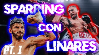 Sparring con Linares PT. 1