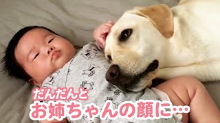 姉弟で恋人でバディな関係♡ふたりの絆にホッコリ癒される♪