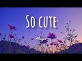 MAYO SO CUTE Lyrics mp3