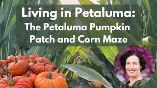 Living in Petaluma, CA - The Petaluma Pumpkin Patch