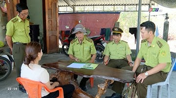 BR-VT tăng cường công tác quản lý bảo vệ rừng và PCCCR trên địa bàn tỉnh | BRTgo