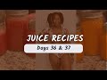 Beginner Friendly Juice Recipes | 60 Day Juice Cleanse | Detox Juices