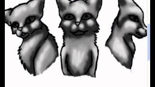 Chicken Smoothie RP Speedpaint - Swiftstar, Yewstar, & Amberstar Chicken Smoothie RP Speedpaint - Swiftstar, Yewstar, & Amberstar