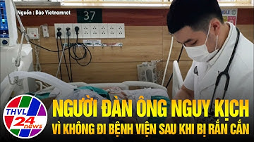 Người đàn ông nguy kịch vì không đi bệnh viện sau khi bị rắn cắn