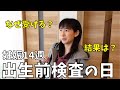 【出生前検査】診断を受ける理由は?結果は?NIPT&胎児ドック|障害児育児