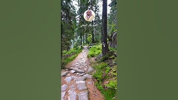 من الآية 195  #سورة_آل_عمران  الشيخ ماهر المعيقلي