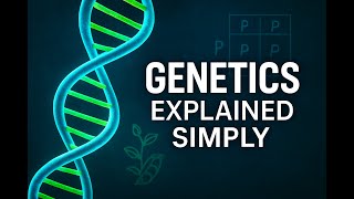 شرحGenetics Explained Simply | Mendel’s Laws, DNA, and Genetic Disorders