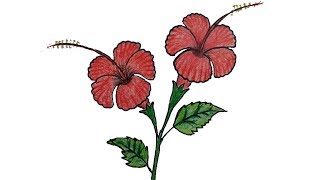 How to draw a hibiscus flower step by | china rose/ joba ful drawing.
learn / rose drawing i...