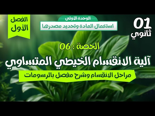 واخيراااا🔥اقوى ملخص شامل لمراحل الانقسام الخيطي المتساوي |الحصة6✅️ اولى ثانوي🏃🏻‍➡️ دروس الفصل الاول