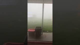 Intense Tornado Knocks Down Tree Branch in Ohio, USA -  1499897