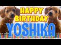 Happy Birthday Yoshika! ( Funny Talking Dogs ) What Is Free On My Birthday