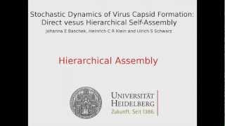 Stochastic Dynamics of Virus Capsid Formation: Hierarchical Self-Assembly