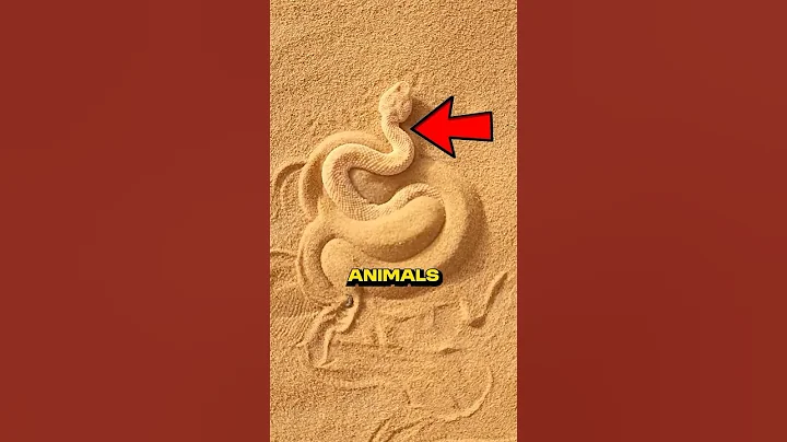 These Animals Are Camouflage Kings!🤯😱 #facts #animals #viralvideo #shorts thumbnail