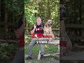How To Train Your Dog Like A Pro On A Budget