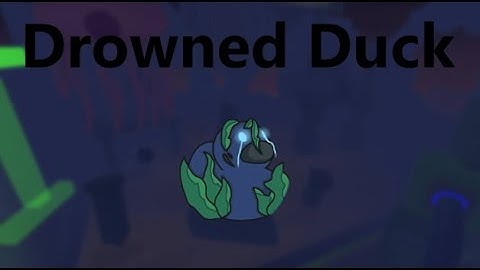 How to get Drowned Duck - Find The Ducks