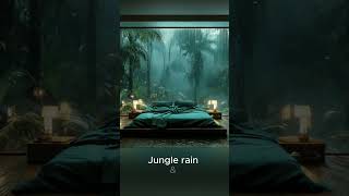 Costa Rica Cabin for ADHD Focus &amp; Deep Work 🌧️ #rain #focus #deepwork  #rainoundforsleep