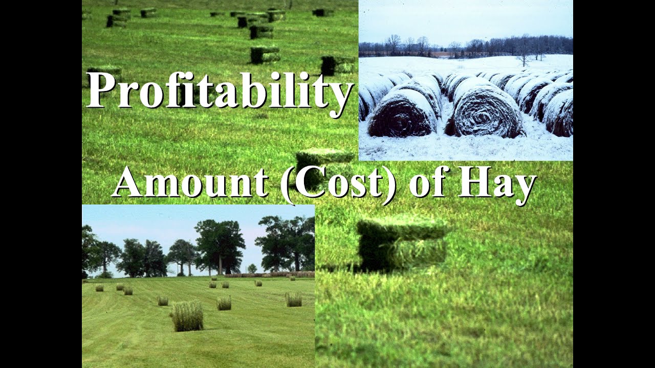 Benefits of Rotational Grazing-Ray Smith