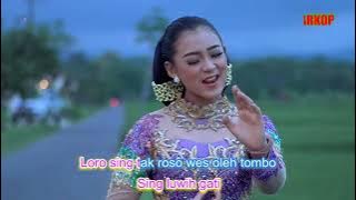 (Versi Karaoke)Niken Salindry - Wis Oleh Ganti - Karaoke Tanpa Vokal