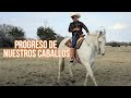 Progreso de Nuestros Caballos - El Charro Y La Mayrita (Vlog)